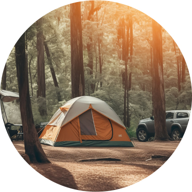 2025香港正版资料大全视频